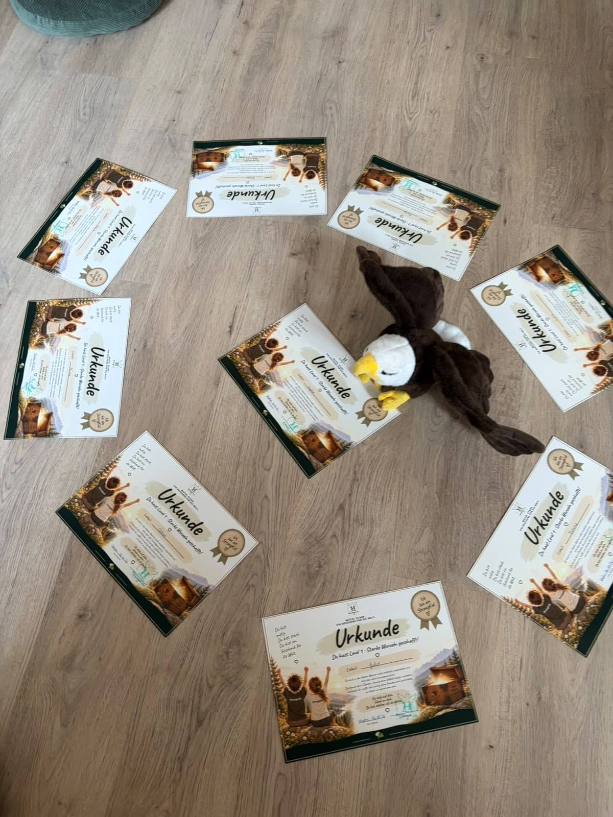 Urkunden für Level 1 liegen im Kreis auf dem Boden, in der Mitte Adler Ari